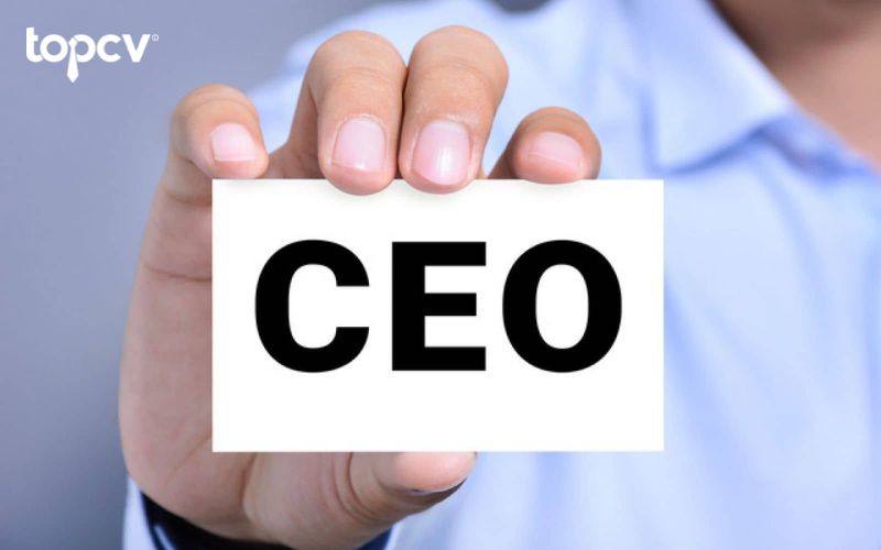 Tìm hiểu về CEO ngân hàng là gì?