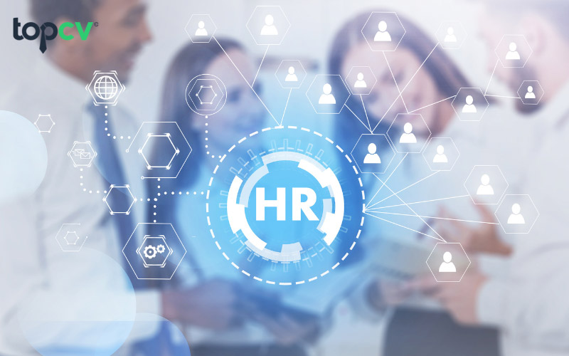Nhân viên HR là gì? Nhiệm vụ và lương của các vị trí nghề HR