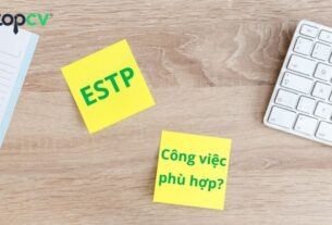 ESTP là gì? Khám phá tính cách và công việc phù hợp với nhóm ESTP