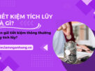 Tiết kiệm tích lũy là gì? Nên gửi thông thường hay tích lũy?