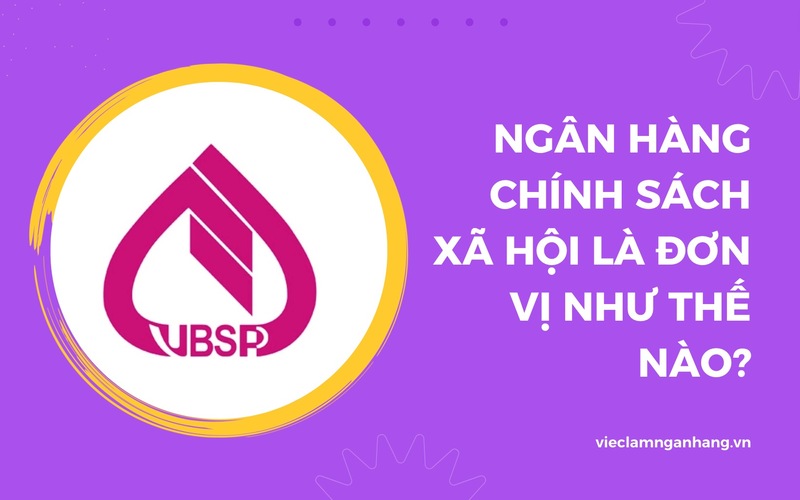 Ngân hàng Chính sách Xã hội là cơ quan được thành lập bởi Chính phủ Việt Nam